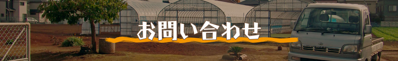 お問い合わせ