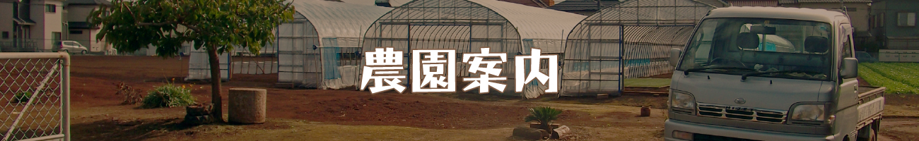 農園案内