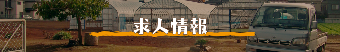 求人情報