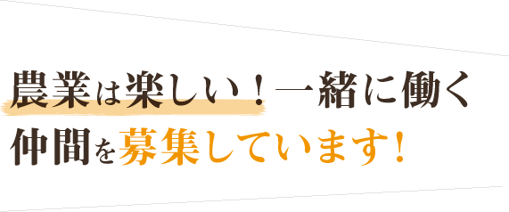 農業は楽しい！一緒に働く仲間を募集しています！
